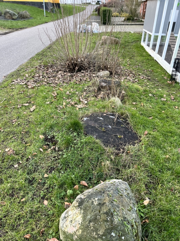 sten og krat