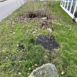 sten og krat
