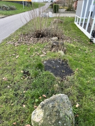 sten og krat